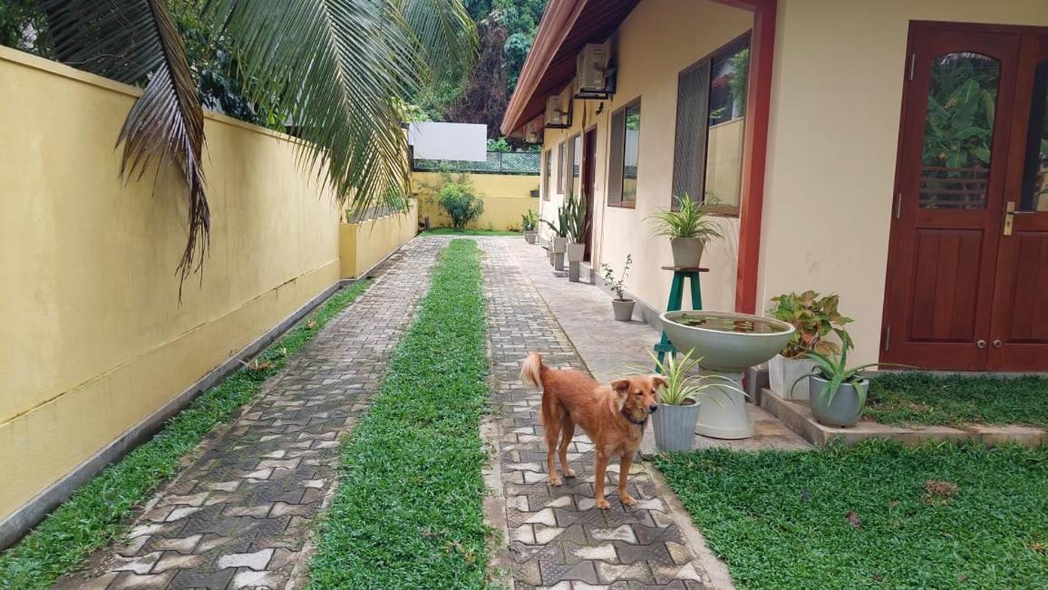 El-Nivasa Villa In Weligama Exteriör bild