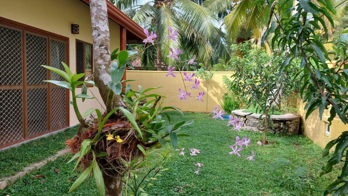 El-Nivasa Villa In Weligama Exteriör bild